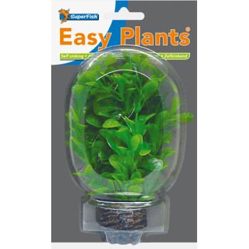 Easy Plants Low NR8